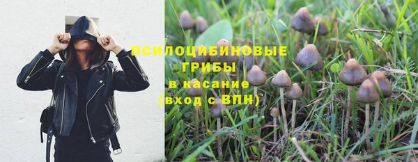 мдма Гусев